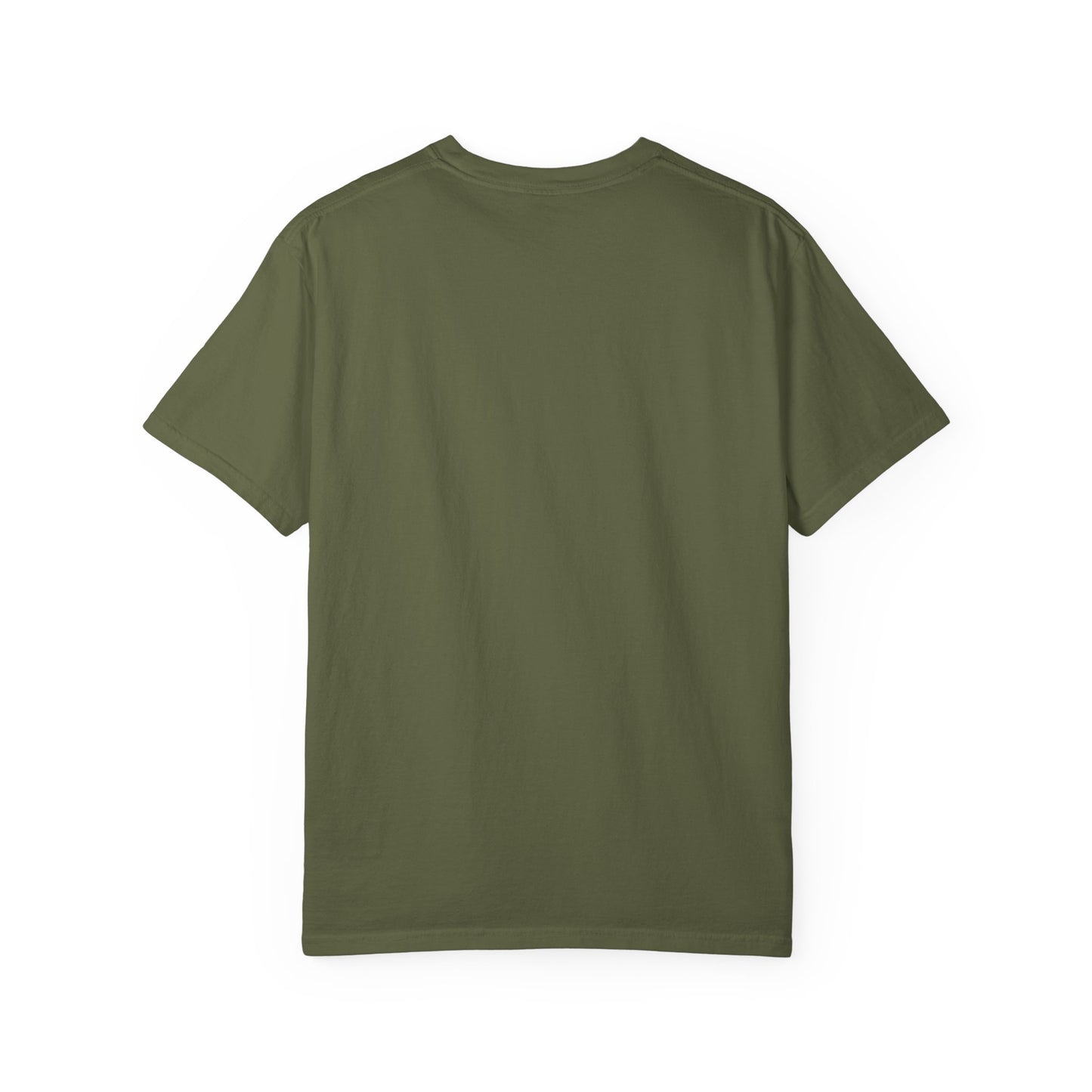 Faith-Inspired Unisex T-Shirt - "I AM NOT ASHAMED"