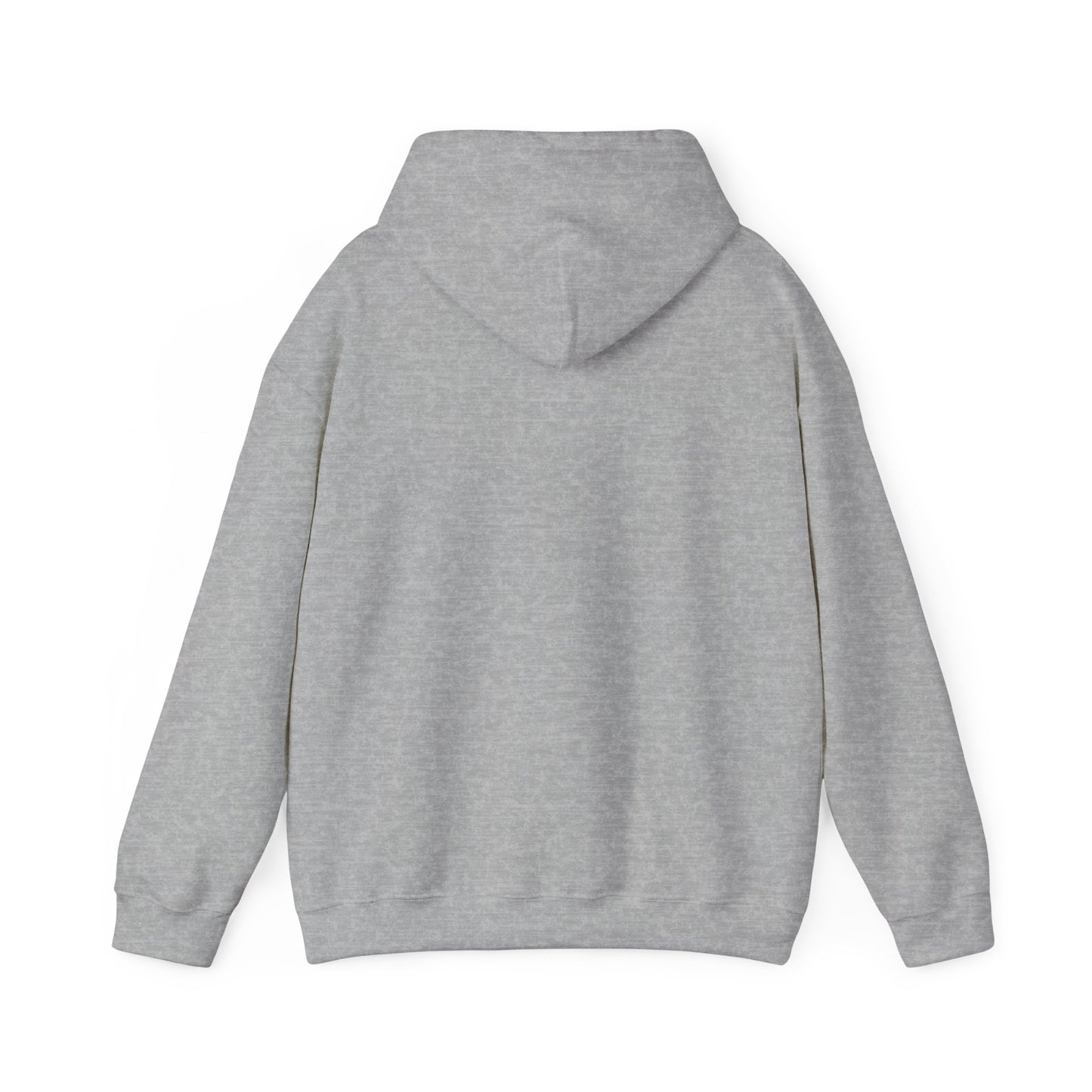 David and Goliath Unisex Hoodie - 1 Samuel 17