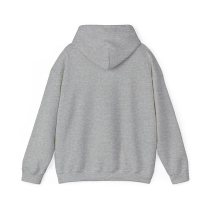 David and Goliath Unisex Hoodie - 1 Samuel 17