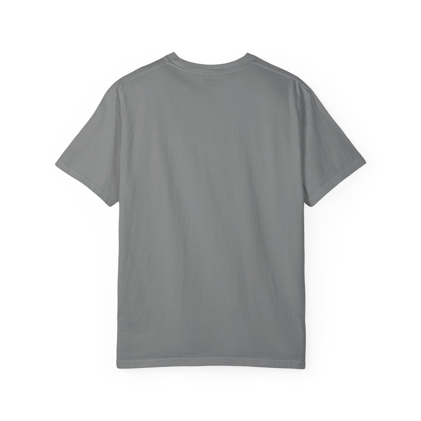 Faith-Inspired Unisex T-Shirt - "I AM NOT ASHAMED"