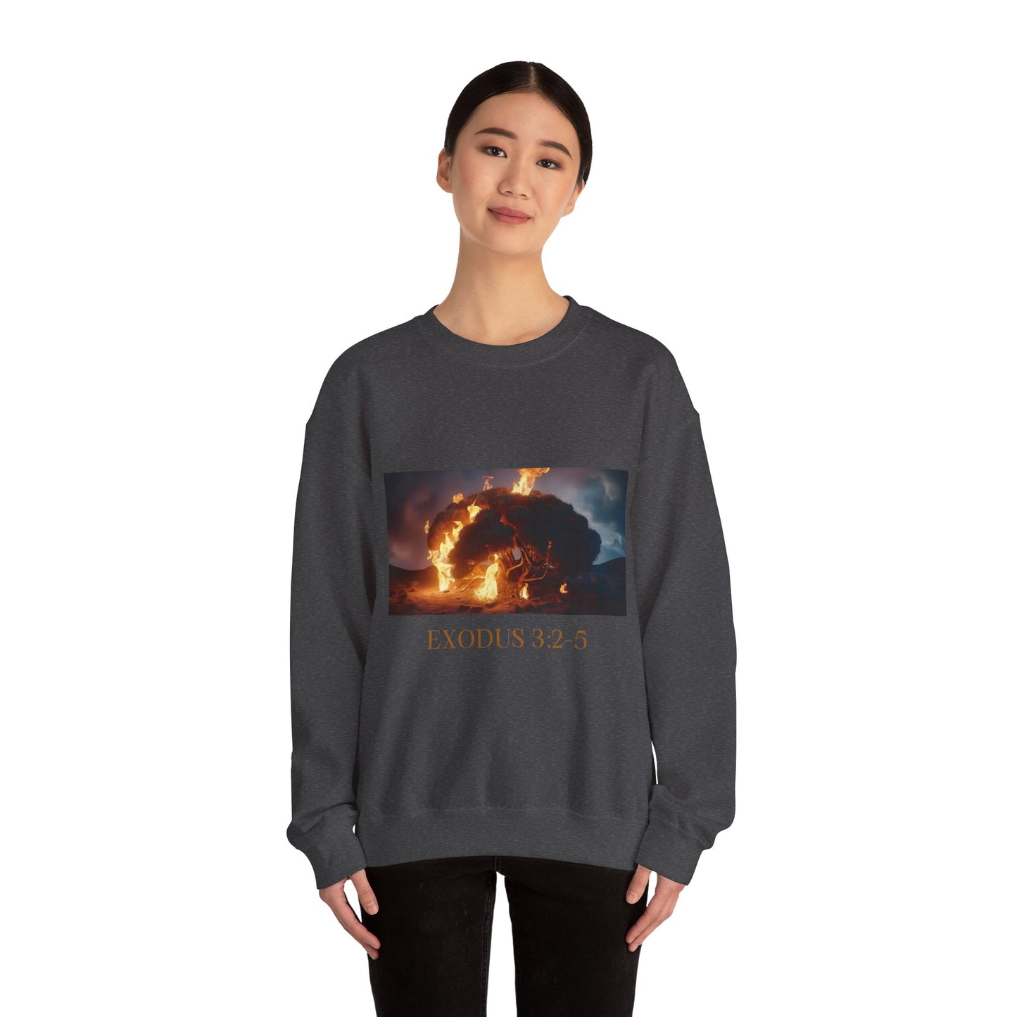 Women's Graphic Crewneck Sweatshirt - Exodus 3:2-5 Burning Bush