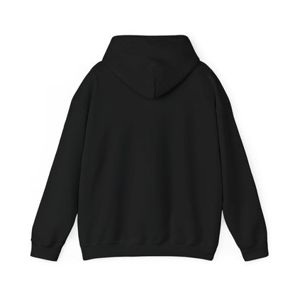 David and Goliath Unisex Hoodie - 1 Samuel 17