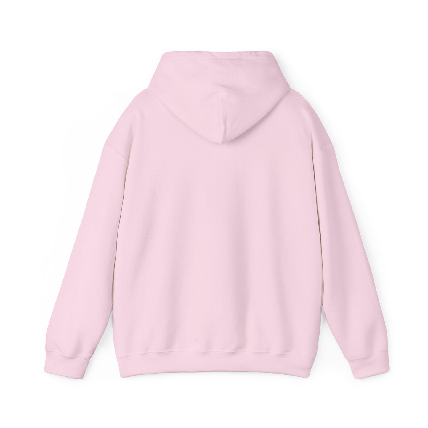 David and Goliath Unisex Hoodie - 1 Samuel 17
