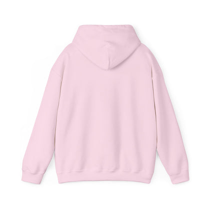 David and Goliath Unisex Hoodie - 1 Samuel 17